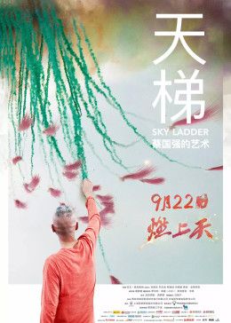 天梯：蔡国强的艺术(全集)