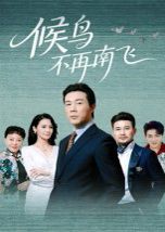 候鸟不再南飞(全集)